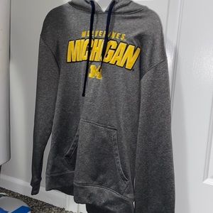 Mens Michigan hoodie